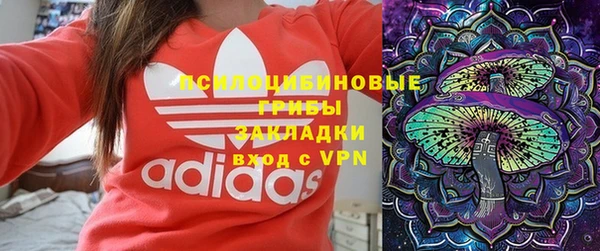а пвп мука Каменка