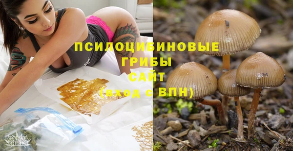 а пвп мука Каменка