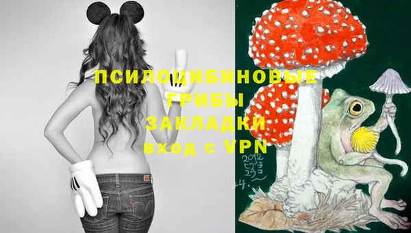 spice Каменногорск