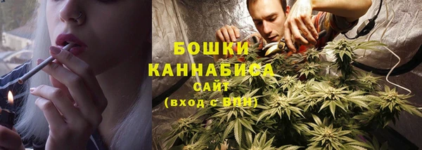 spice Каменногорск