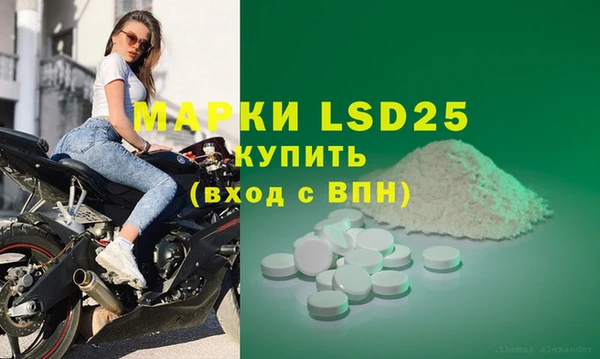 spice Каменногорск